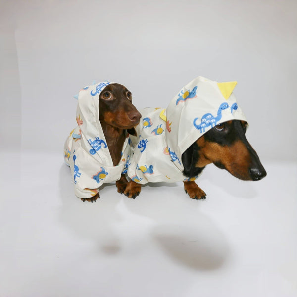 HKM-7033405 Dinosaur Design Splash-Proof Pet Raincoat for Spring and Summer, Multiple Sizes Available