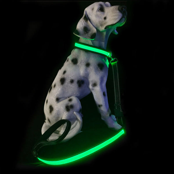 HKM-7034429 Telescopic USB Rechargeable Portable Pet Collar in Multiple Colors and Sizes
