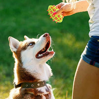 HKM-7036093 Indestructible Dog Teether Ball with Dental Cleaning Texture for Interactive Play