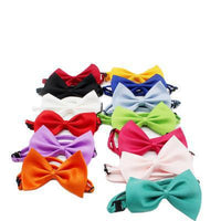 HKM-7042621 Colorful Bow Tie Pet Lead for Cats and Dogs, Warm Cloth Accessory with Floral Design, 51cm Length