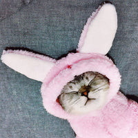 HKM-7044541 Adorable Cotton Cat Clothes for Kittens ¨C Cute Pink Rabbit, Brown Bear, Tsundere Mini, Angel Wings Styles