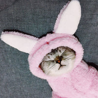 HKM-7044541 Adorable Cotton Cat Clothes for Kittens ¨C Cute Pink Rabbit, Brown Bear, Tsundere Mini, Angel Wings Styles