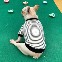HKM-7046717 Striped Cotton T-Shirt for Small Dogs and Cats in Casual Style, Available in Various Colors and Sizes