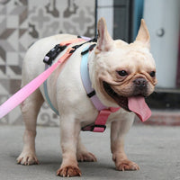 HKM-7049917 Gradient Color Pet Chest Straps - Polyester in Purple, Blue Sea, Neon, Green Mountains, Sizes S, M, L