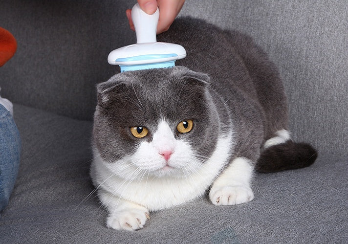 HKM-7051709 Stainless Steel Multifunctional Pet Comb for Effective Fur Care
