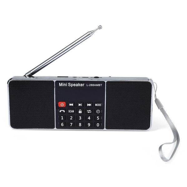 HKM-705363 Portable Bluetooth Speaker with AM/FM Radio, Rechargeable Lithium-ion Battery, USB & TF Card Support, LCD Display