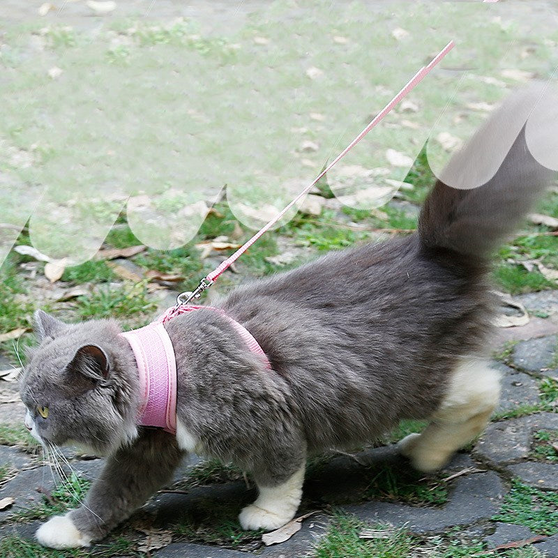 HKM-7055165 Comfortable Anti-Skid Cat Harness with Mesh Design and Leash