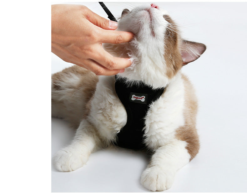 HKM-7055165 Comfortable Anti-Skid Cat Harness with Mesh Design and Leash