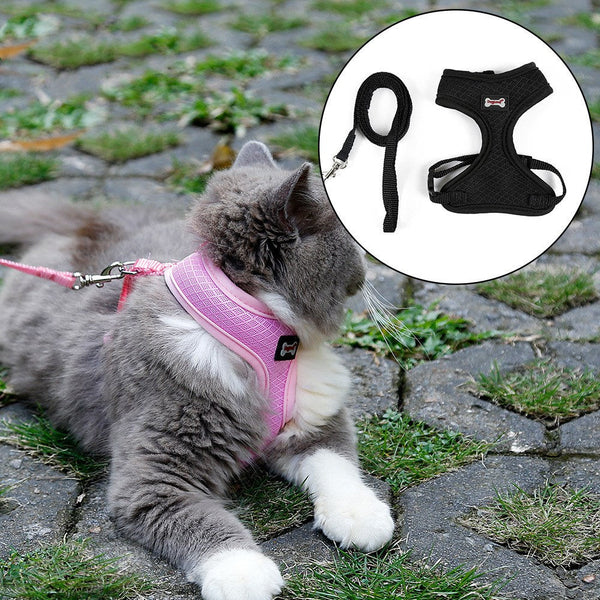 HKM-7055165 Comfortable Anti-Skid Cat Harness with Mesh Design and Leash