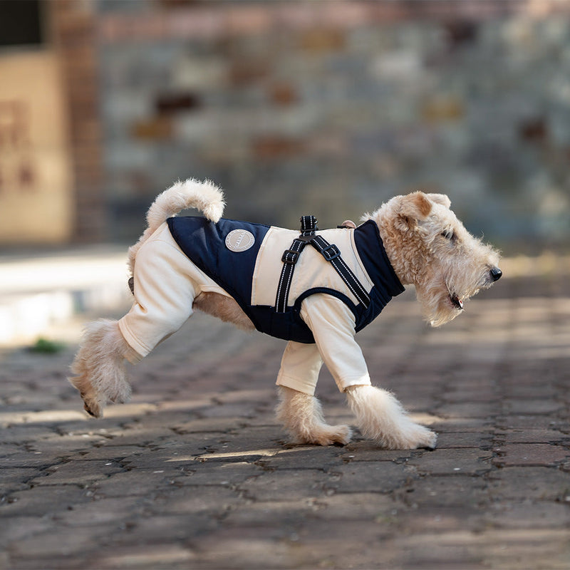 HKM-7056445 Windproof Navy Blue Dog Jacket for All Sizes: S to 8XL, Polyester Material