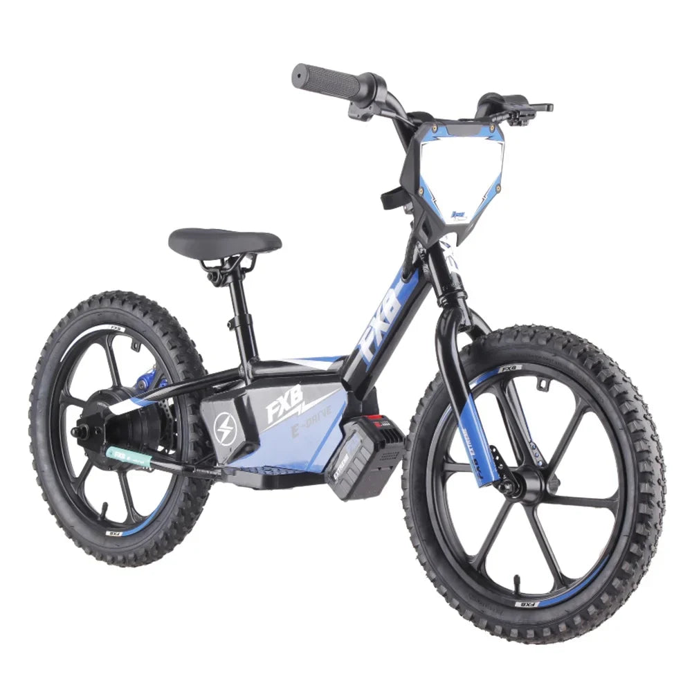 HKM-706451 16-Inch Aluminum Alloy Mini Electric Balance Bike for Kids with 350W Motor and Disc Brakes