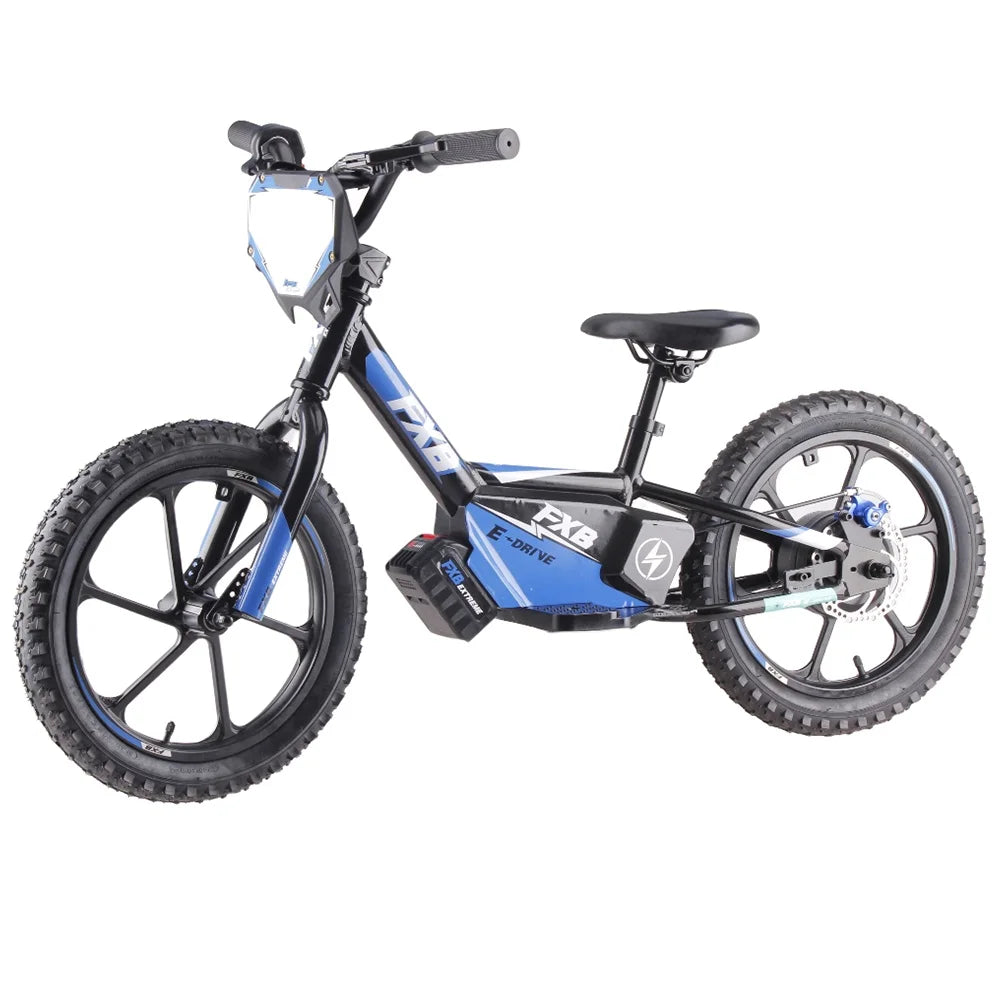 HKM-706451 16-Inch Aluminum Alloy Mini Electric Balance Bike for Kids with 350W Motor and Disc Brakes