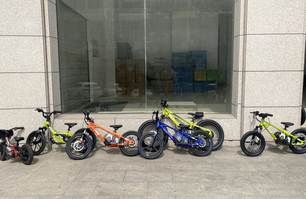 HKM-706451 16-Inch Aluminum Alloy Mini Electric Balance Bike for Kids with 350W Motor and Disc Brakes
