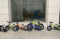 HKM-706451 16-Inch Aluminum Alloy Mini Electric Balance Bike for Kids with 350W Motor and Disc Brakes