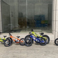 HKM-706451 16-Inch Aluminum Alloy Mini Electric Balance Bike for Kids with 350W Motor and Disc Brakes