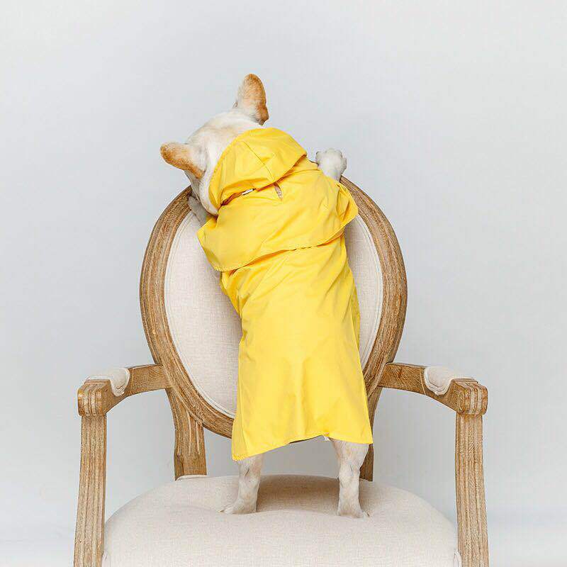 HKM-7065789 Waterproof PVC Pet Raincoat for All Sizes and Genders