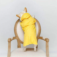 HKM-7065789 Waterproof PVC Pet Raincoat for All Sizes and Genders