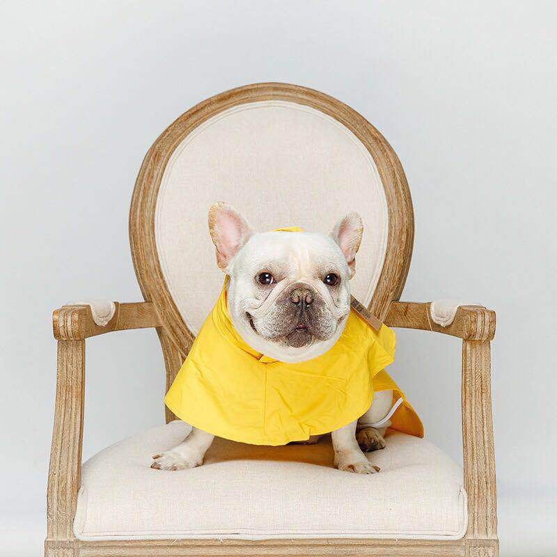 HKM-7065789 Waterproof PVC Pet Raincoat for All Sizes and Genders