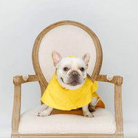 HKM-7065789 Waterproof PVC Pet Raincoat for All Sizes and Genders