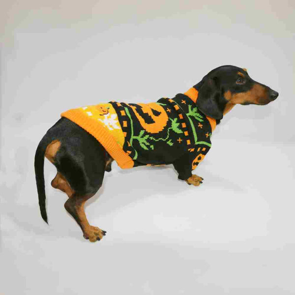 HKM-7066173 Warm Pumpkin Color Matching Sweater for Dogs and Cats - Available in Multiple Sizes