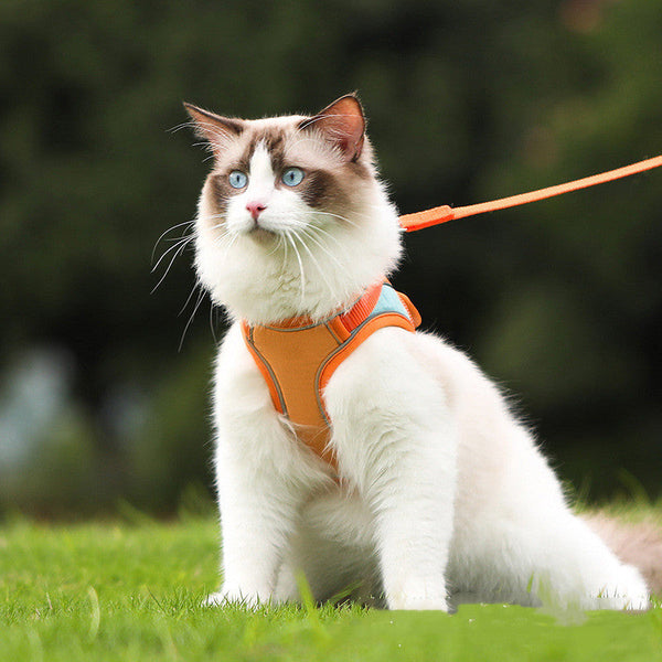 HKM-7066685 Reflective Anti-Escape Cat Harness with Leash - Suede Material, Various Colors, Sizes S to L