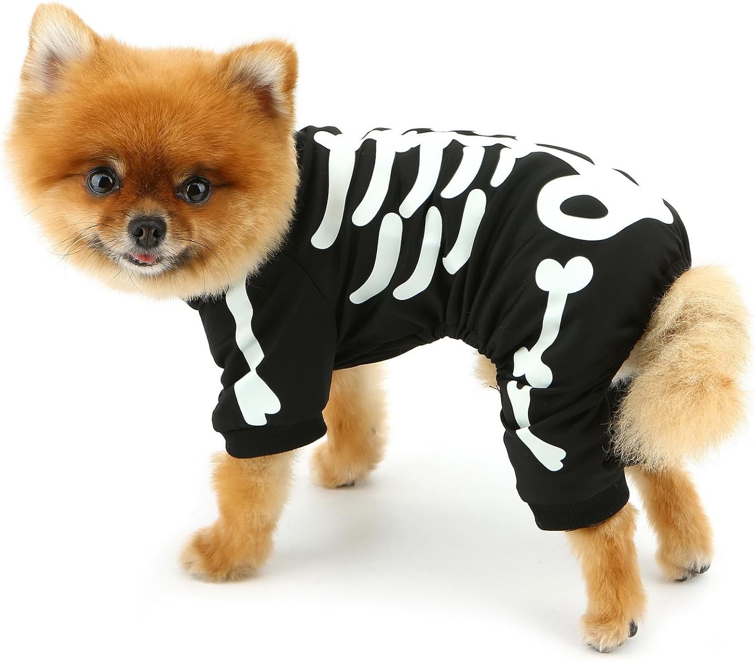 HKM-7067069 Glow in the Dark Skeleton Dog Costume for Small Dogs - Breathable Stretchy Jumpsuit for Halloween and Cosplay