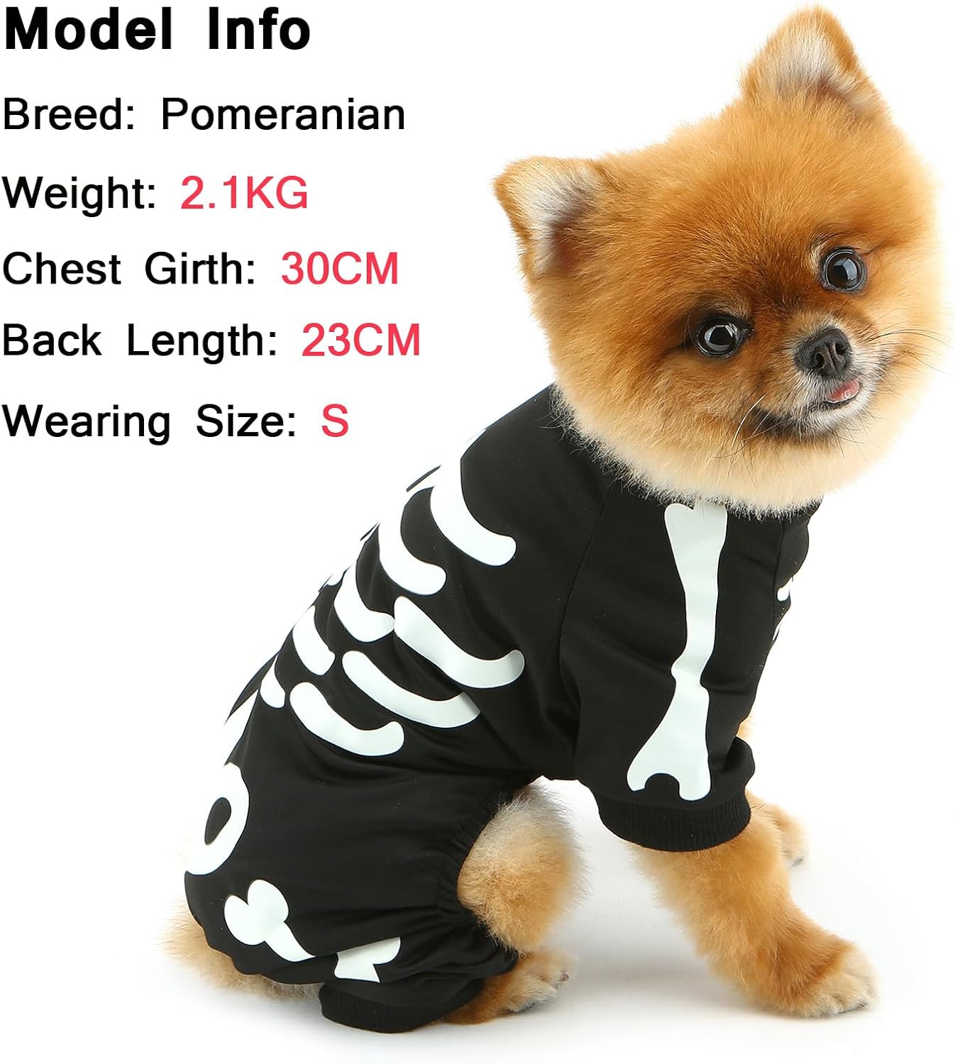 HKM-7067069 Glow in the Dark Skeleton Dog Costume for Small Dogs - Breathable Stretchy Jumpsuit for Halloween and Cosplay