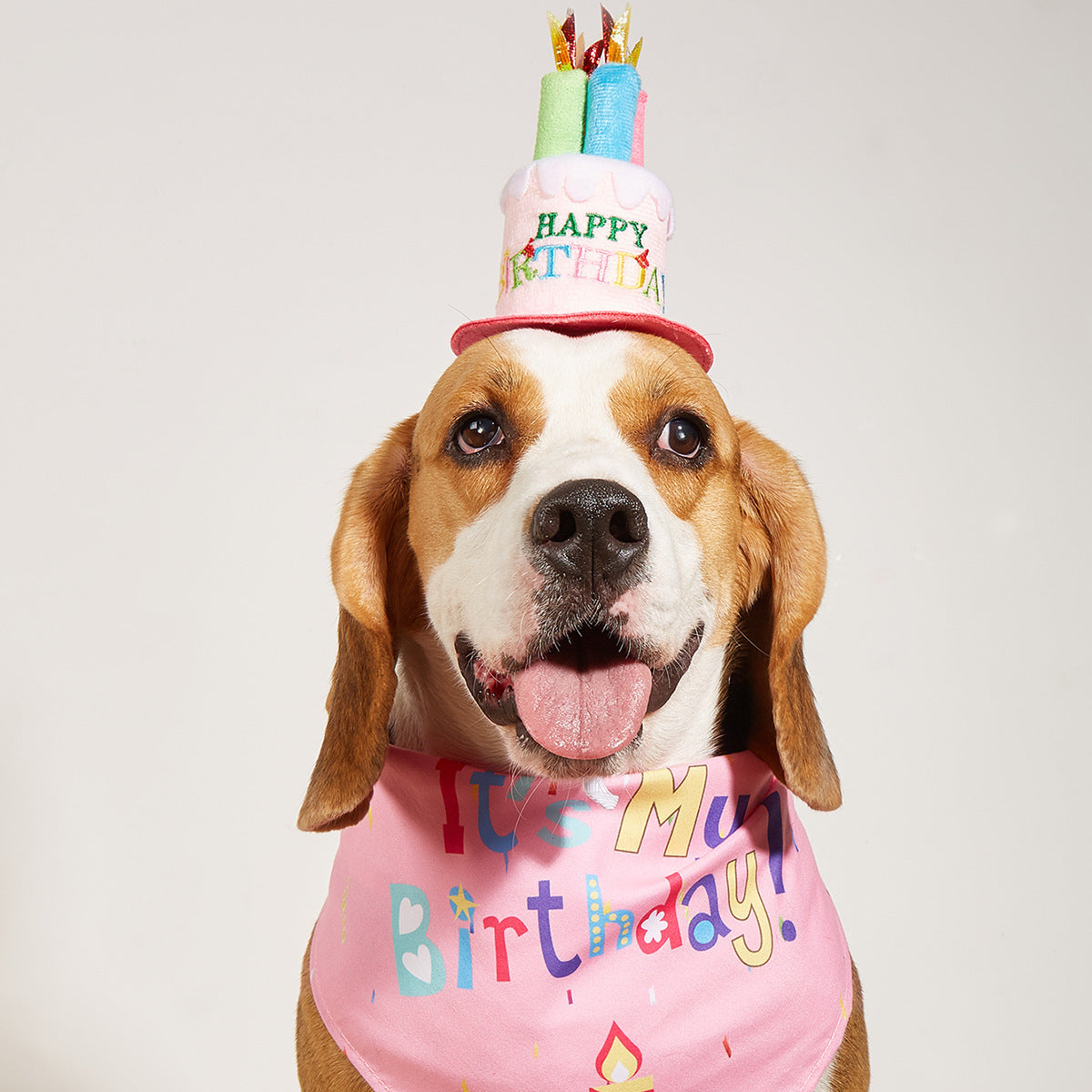 HKM-706707 Dog Birthday Accessories - Triangular Binders with Cartoon Patterns and Drool Towels (Blue and Pink Options)