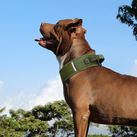 HKM-7069373 Camouflage Nylon Dog and Horse Collar in Military Green and Black, Sizes M-L-XL