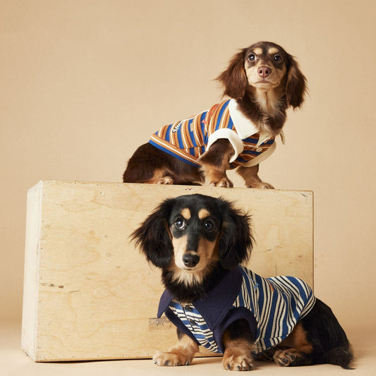 HKM-7072957 Cute Striped Polo Shirt for Dogs - Sleeveless Cotton Vest in Blue and Brown
