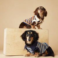 HKM-7072957 Cute Striped Polo Shirt for Dogs - Sleeveless Cotton Vest in Blue and Brown