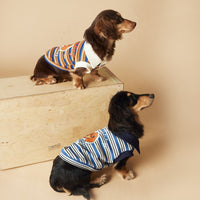 HKM-7072957 Cute Striped Polo Shirt for Dogs - Sleeveless Cotton Vest in Blue and Brown