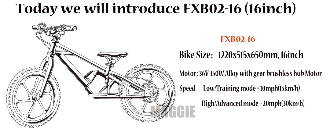 HKM-707603 16 Inch Electric Balance Bike for Kids with 350W Motor and Adjustable Suspension