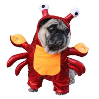 HKM-7083069 Transformative Cat and Dog Halloween Costume in Red, PU Material, Sizes S-XL