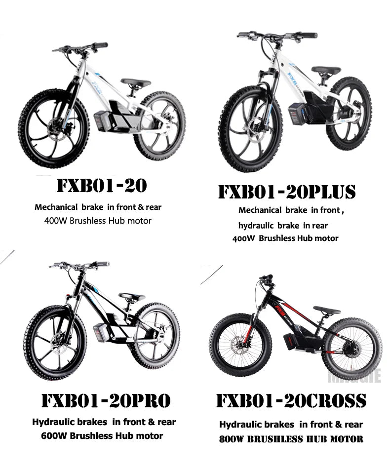 HKM-708755 20-Inch Electric Balance Bike with Lithium Battery, 36V 600W Motor, Hydraulic Disc Brake, 3 Speed Modes