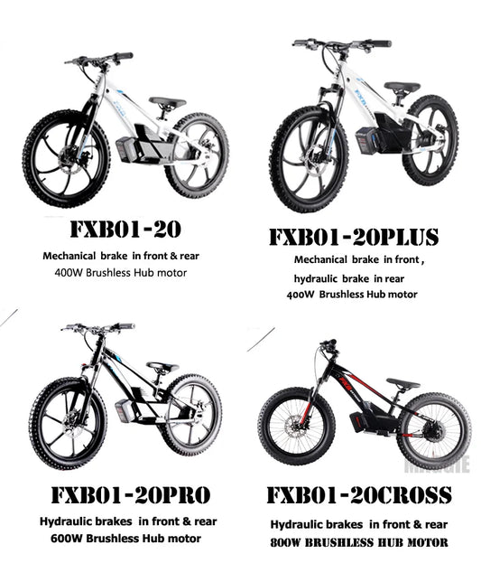 HKM-708755 20-Inch Electric Balance Bike with Lithium Battery, 36V 600W Motor, Hydraulic Disc Brake, 3 Speed Modes