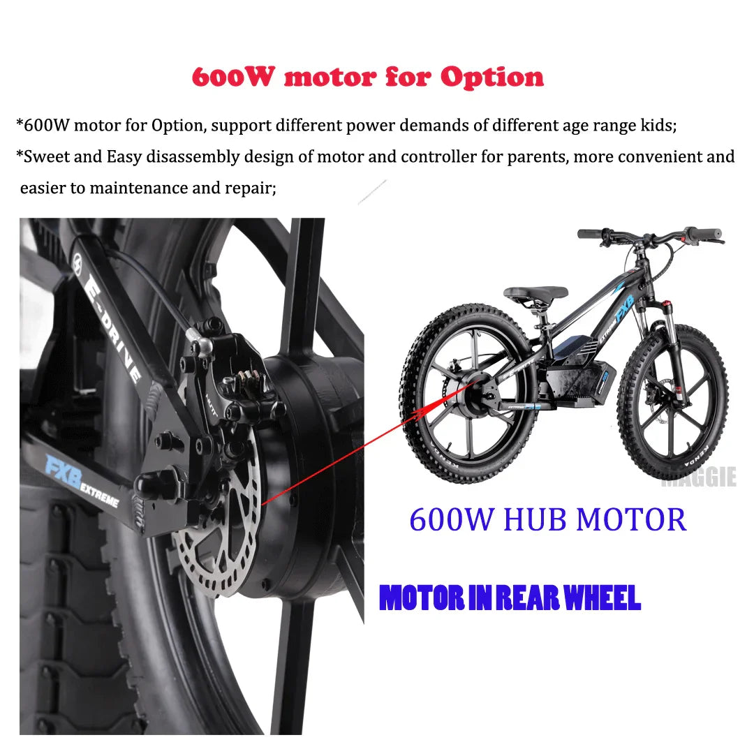 HKM-708755 20-Inch Electric Balance Bike with Lithium Battery, 36V 600W Motor, Hydraulic Disc Brake, 3 Speed Modes