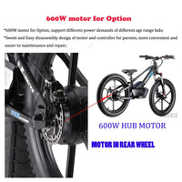 HKM-708755 20-Inch Electric Balance Bike with Lithium Battery, 36V 600W Motor, Hydraulic Disc Brake, 3 Speed Modes