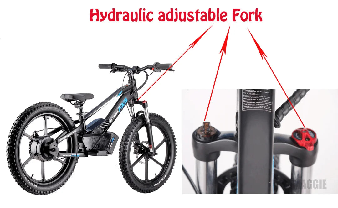 HKM-708755 20-Inch Electric Balance Bike with Lithium Battery, 36V 600W Motor, Hydraulic Disc Brake, 3 Speed Modes