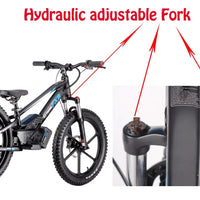 HKM-708755 20-Inch Electric Balance Bike with Lithium Battery, 36V 600W Motor, Hydraulic Disc Brake, 3 Speed Modes