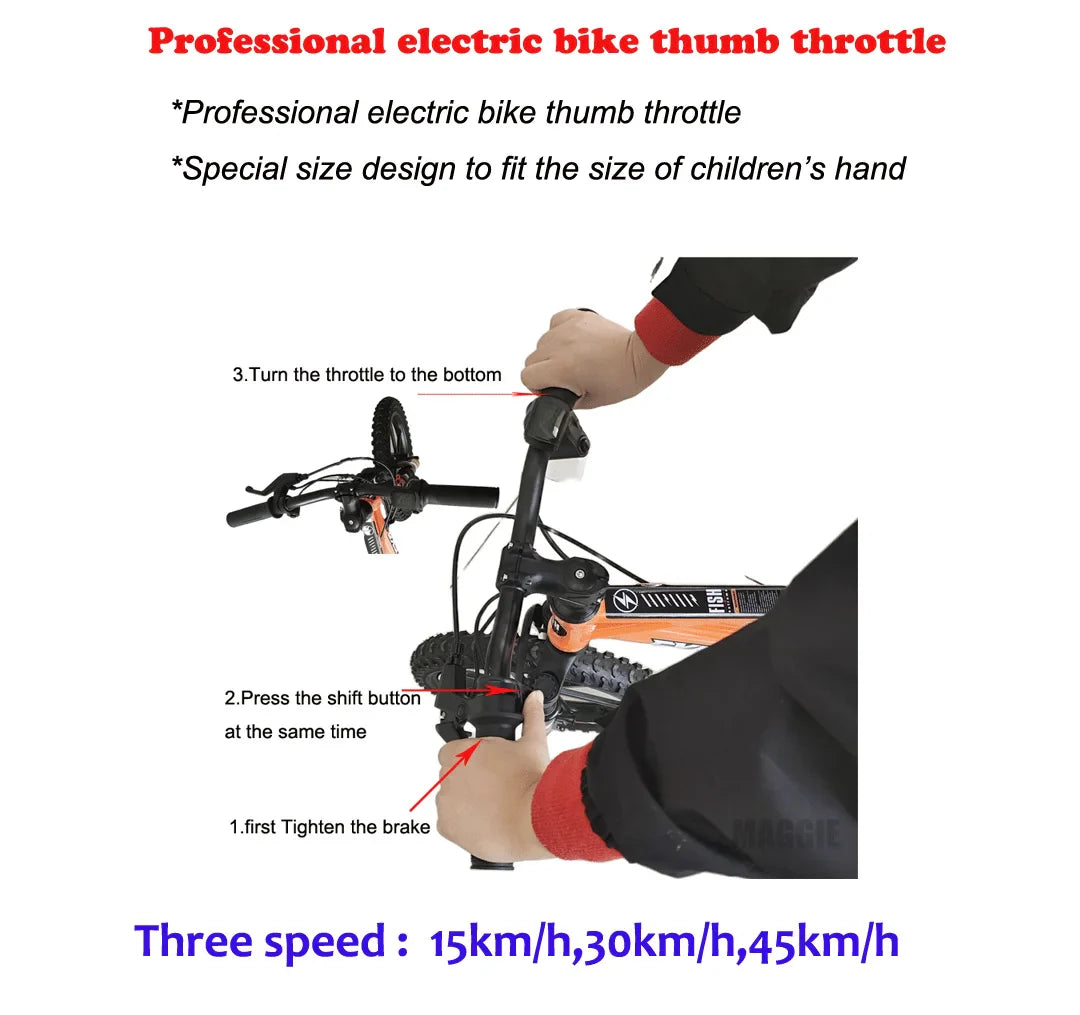 HKM-708755 20-Inch Electric Balance Bike with Lithium Battery, 36V 600W Motor, Hydraulic Disc Brake, 3 Speed Modes