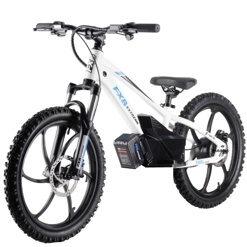 HKM-708755 20-Inch Electric Balance Bike with Lithium Battery, 36V 600W Motor, Hydraulic Disc Brake, 3 Speed Modes