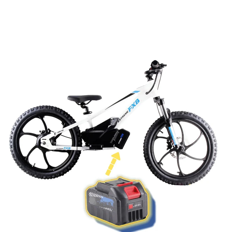 HKM-708755 20-Inch Electric Balance Bike with Lithium Battery, 36V 600W Motor, Hydraulic Disc Brake, 3 Speed Modes