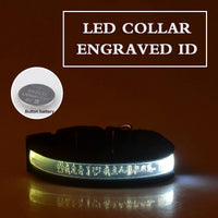 HKM-7090493 Radiant Dog Collar with Luminous Carved Lettering and Multiple Color Options