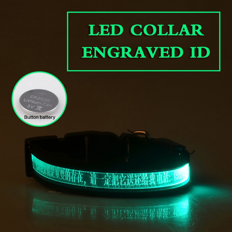 HKM-7090493 Radiant Dog Collar with Luminous Carved Lettering and Multiple Color Options