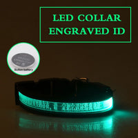 HKM-7090493 Radiant Dog Collar with Luminous Carved Lettering and Multiple Color Options