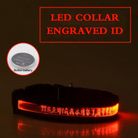 HKM-7090493 Radiant Dog Collar with Luminous Carved Lettering and Multiple Color Options