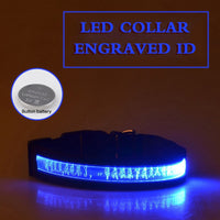 HKM-7090493 Radiant Dog Collar with Luminous Carved Lettering and Multiple Color Options