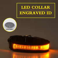 HKM-7090493 Radiant Dog Collar with Luminous Carved Lettering and Multiple Color Options