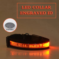 HKM-7090493 Radiant Dog Collar with Luminous Carved Lettering and Multiple Color Options